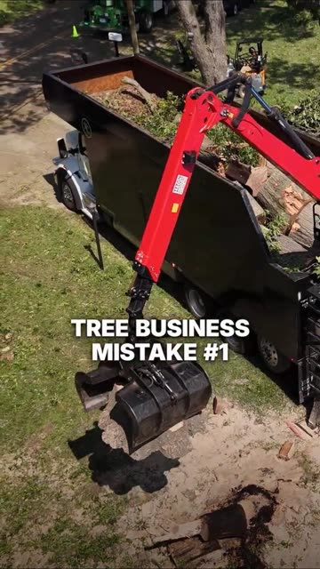 Tree Business Mistake 1 video frame